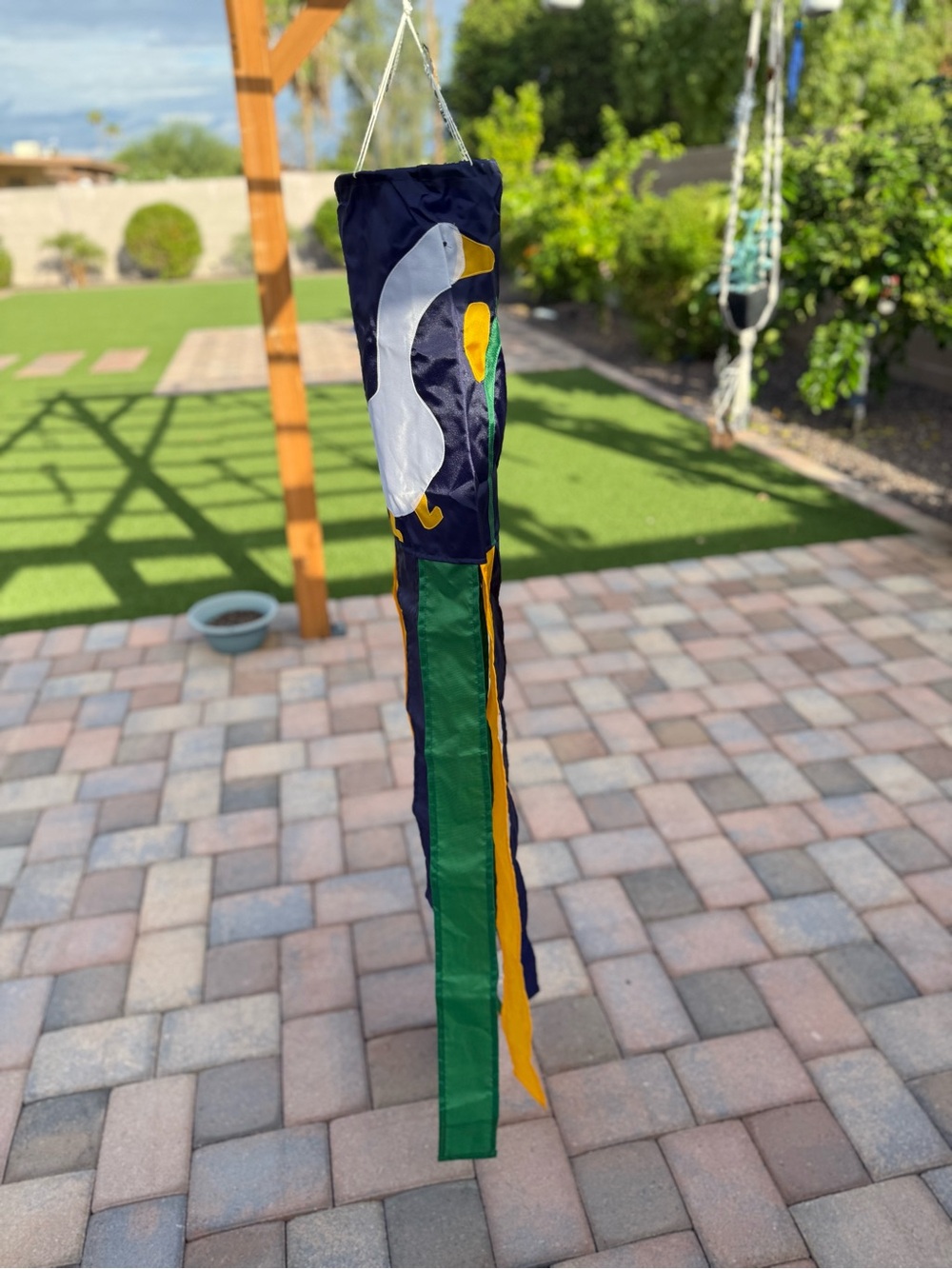 Windsock - Picture 6 of 7